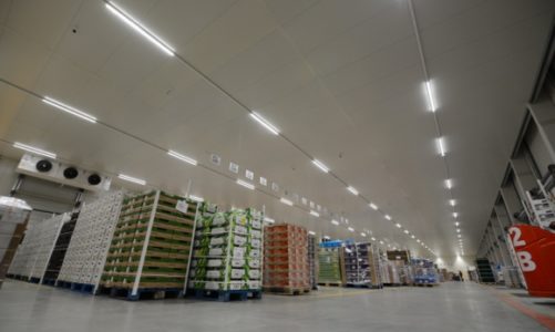 Jakie rozwiązania są przyszłością dla logistyki świeżych produktów?