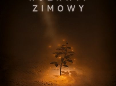 Rozkwit Zimowy – projekt studentów Warszawskiej Szkoły Filmowej