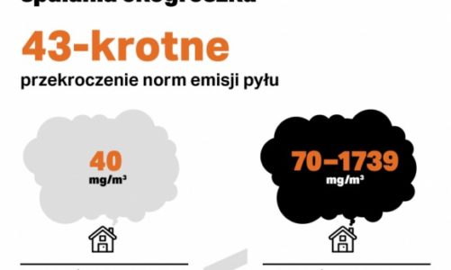 Ile jest eko w ekogroszku? Emisje szkodliwych pyłów przekroczone 40-krotnie!