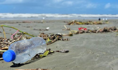 Młodzi kontra plastik