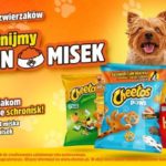 Milion pełnych misek. W ramach akcji „Karmimy Psiaki” marka Cheetos pomaga zwierzakom